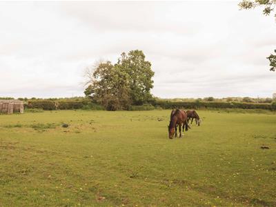 Picture 33